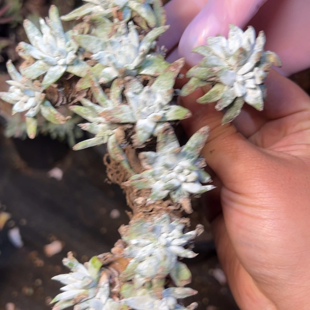 984哈哈哈哈哈哈哈哈