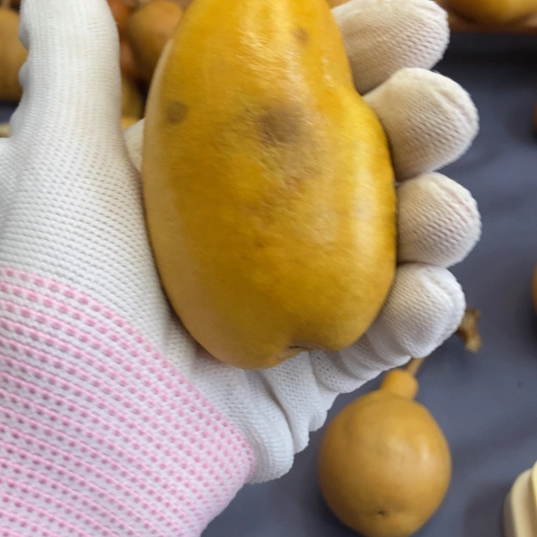 张**梁哈哈哈哈哈哈哈哈哈哈