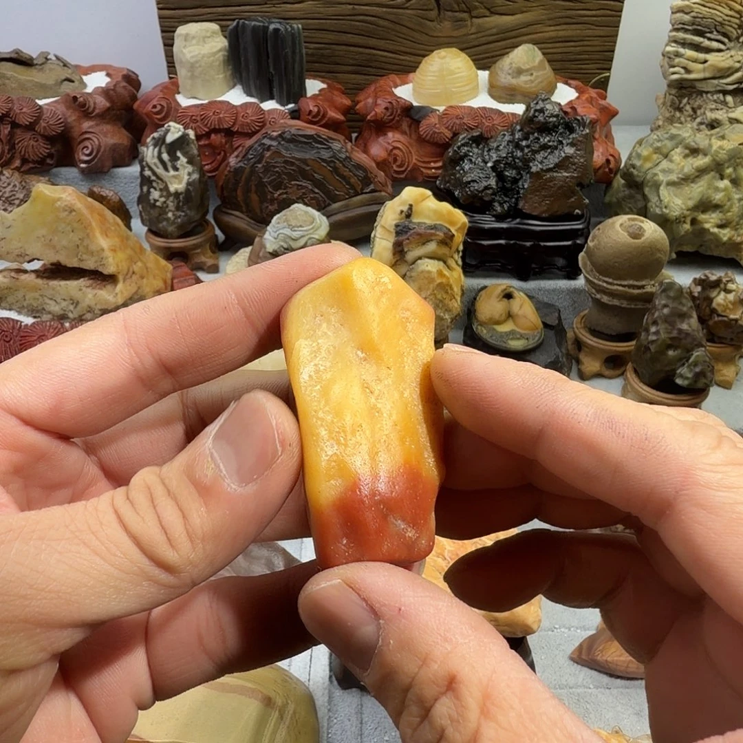 大叶紫檀（黑酸枝木类）