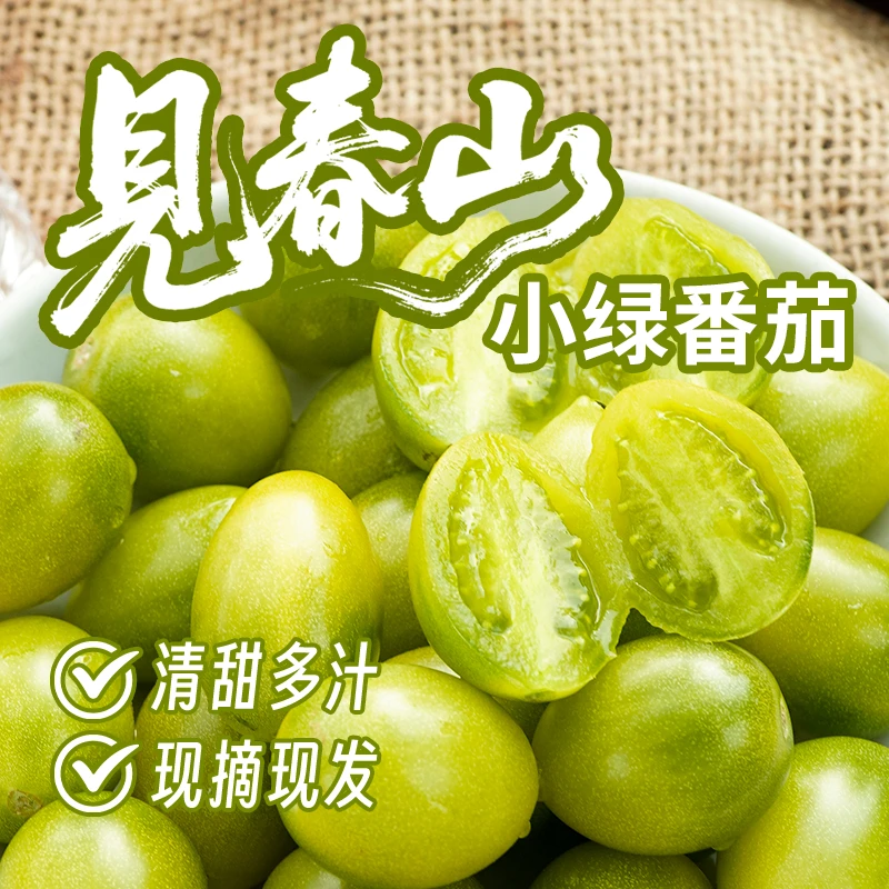 【乡野侣行·见春山小绿番茄】好吃甜度高风味浓现摘现发皮薄汁水足