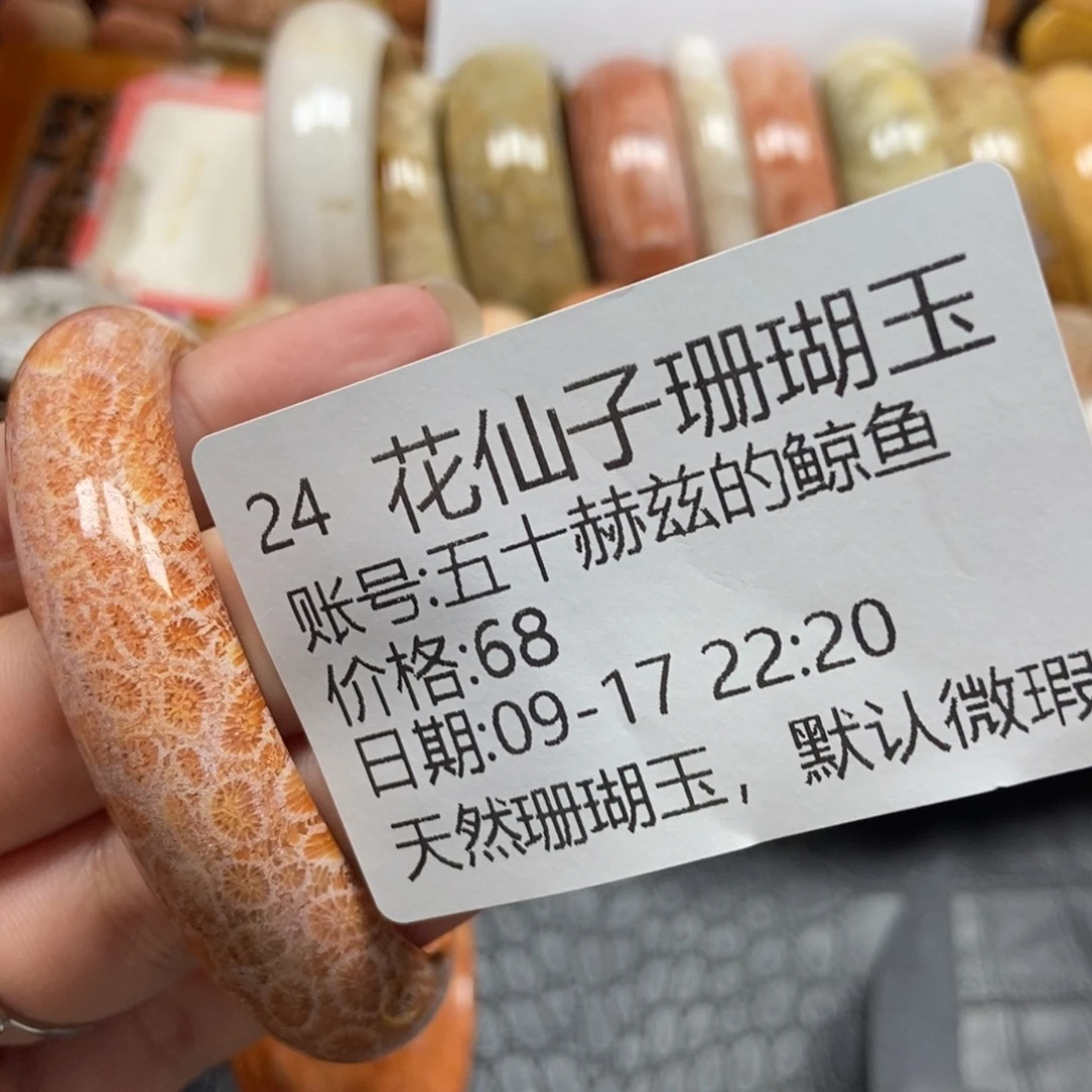 五***鱼未镶嵌硅化珊瑚（珊瑚玉）珠宝半成品24