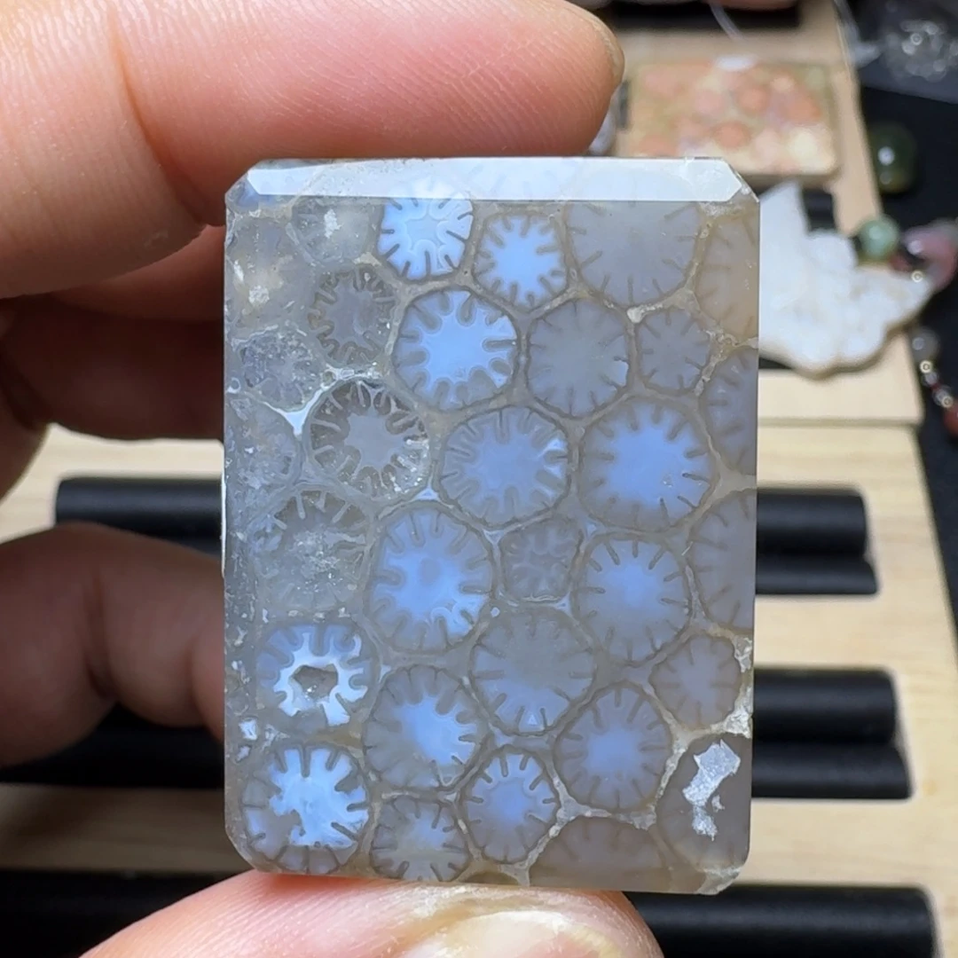 未镶嵌纯天然色有机玉石保真色硅化玉