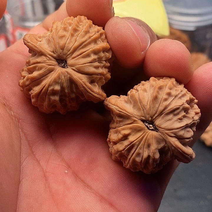 文玩核桃把件血麒麟37