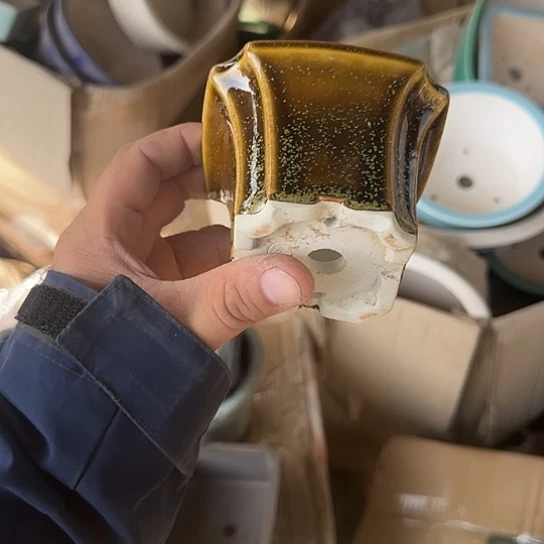 我是仲其祥家长小公主我不