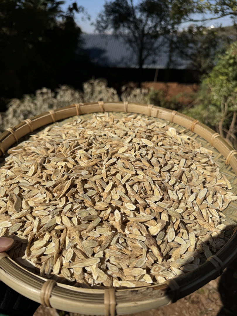 黄芪高山 [老乡现收]（可搭配枸杞）