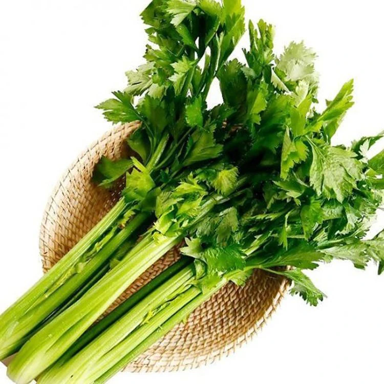 大芹菜 450g±50g/份