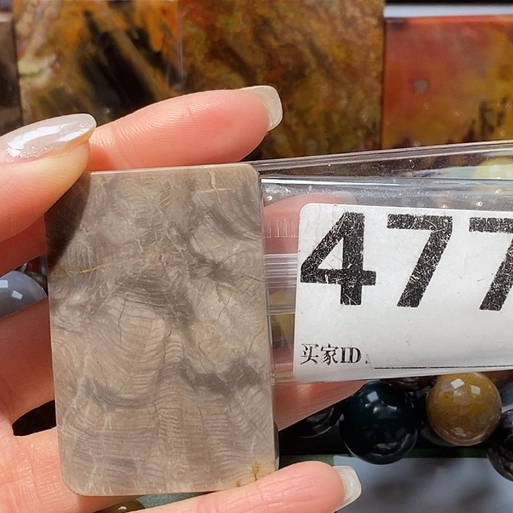 硅化玉未镶嵌天然北票树化玉吊坠