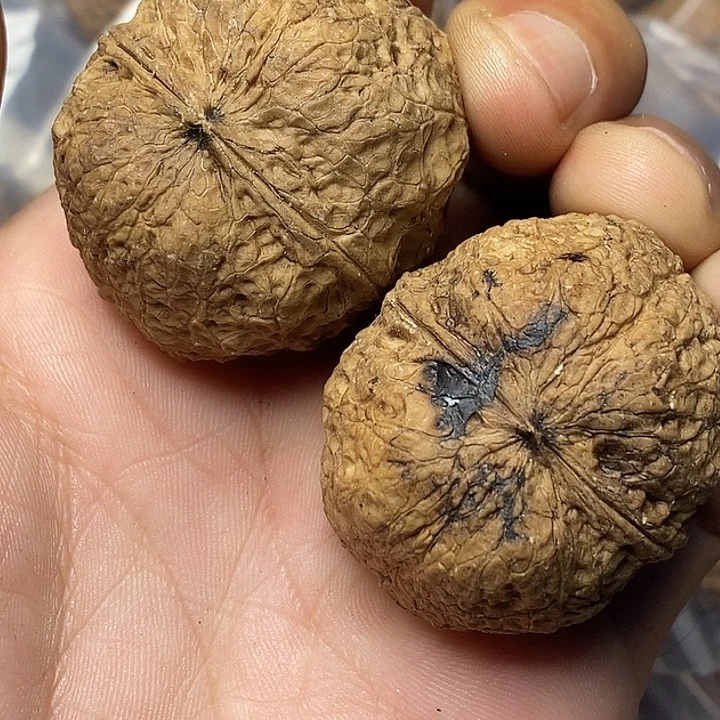 文玩核桃把件云南铁核桃6