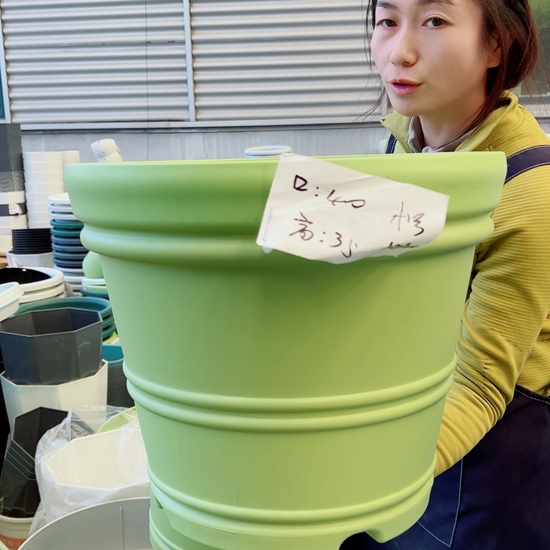瑕疵罗马盆小号果绿3个无托