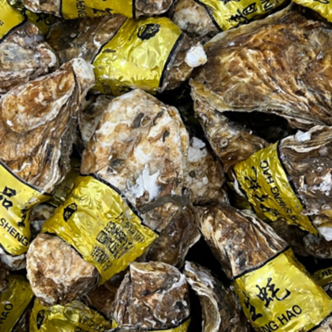 【同城配送】乳山生蚝 65/5斤