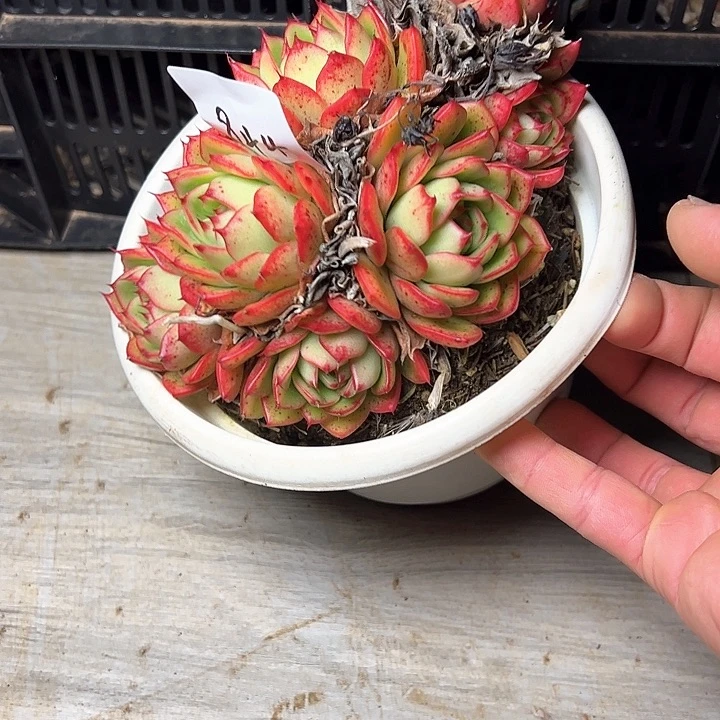 844/////////////////