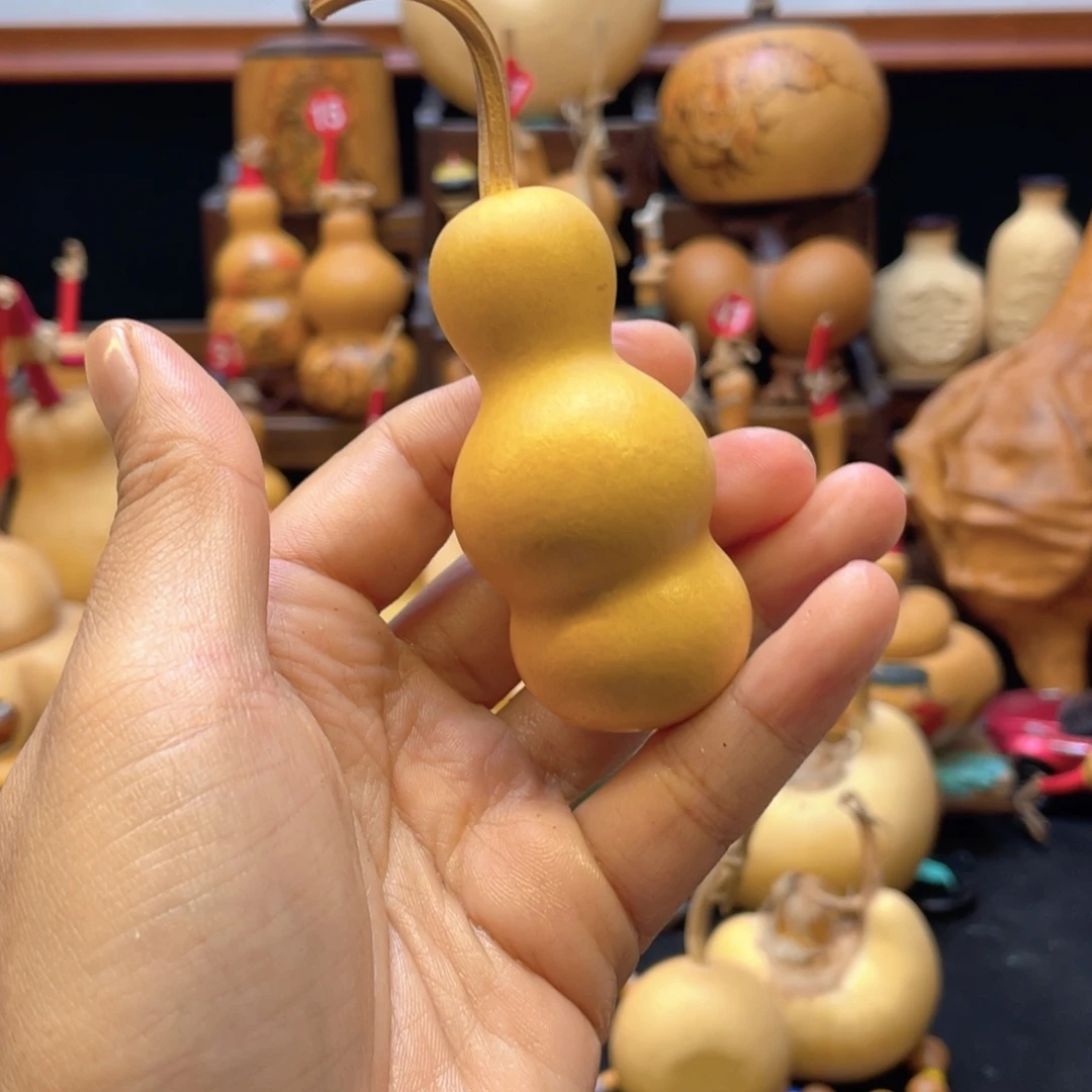 溜***绳大自然的秘密是什么呢