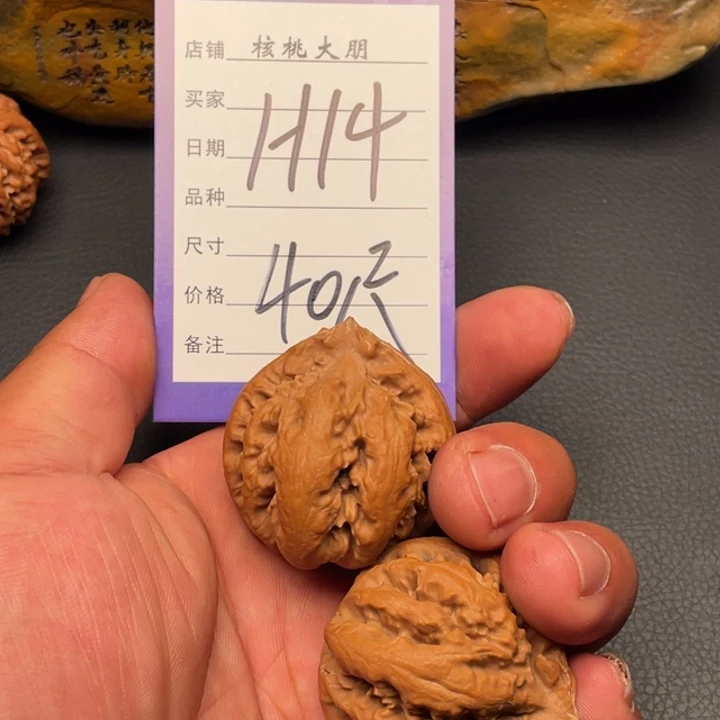 核桃霸王龙40尺寸