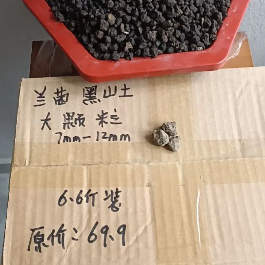 土***啡兰菌黑山土大颗粒6.6斤
