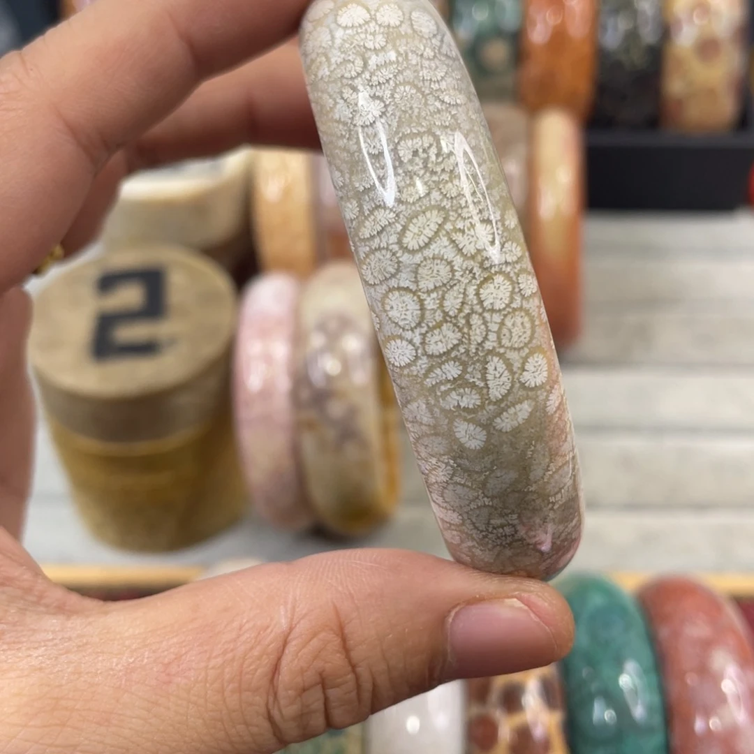 未镶嵌手镯硅化玉