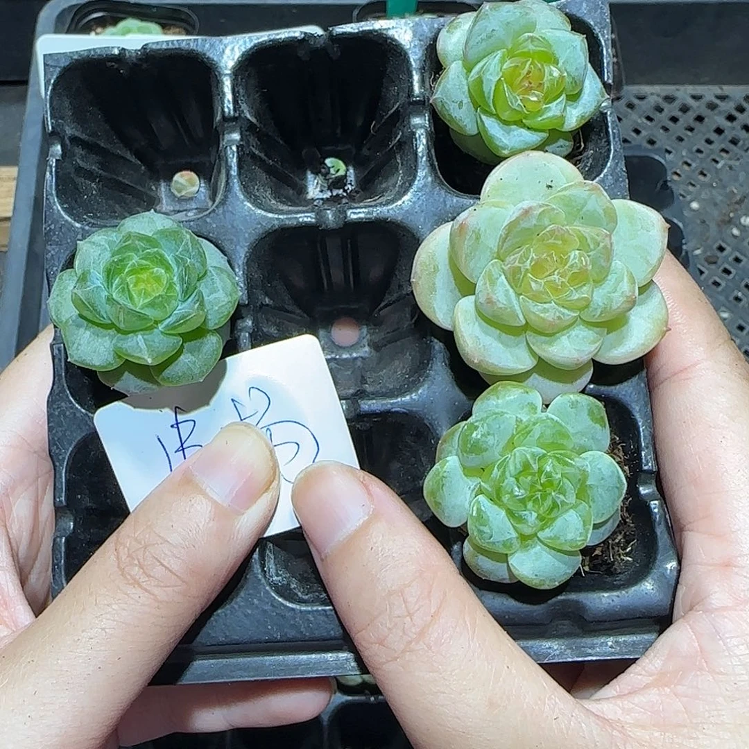 哈哈哈哈哈哈哈哈哈