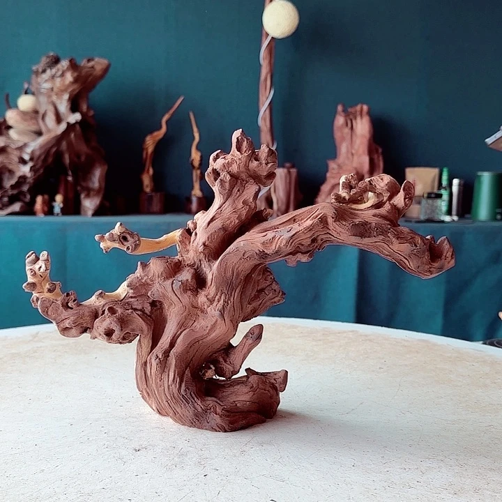 黑果木登**者579金丝红木羊蹄甲半成品