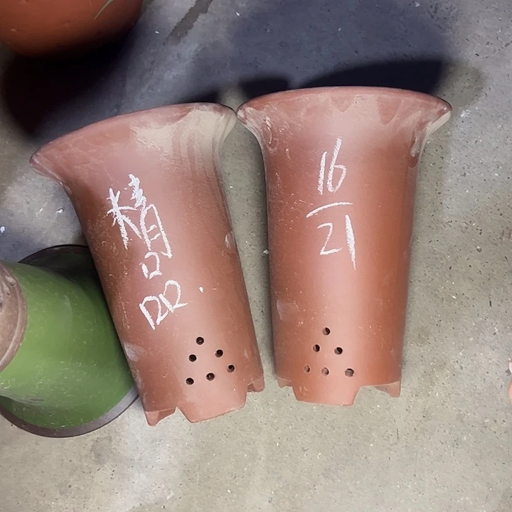 周深周深周深周深周深