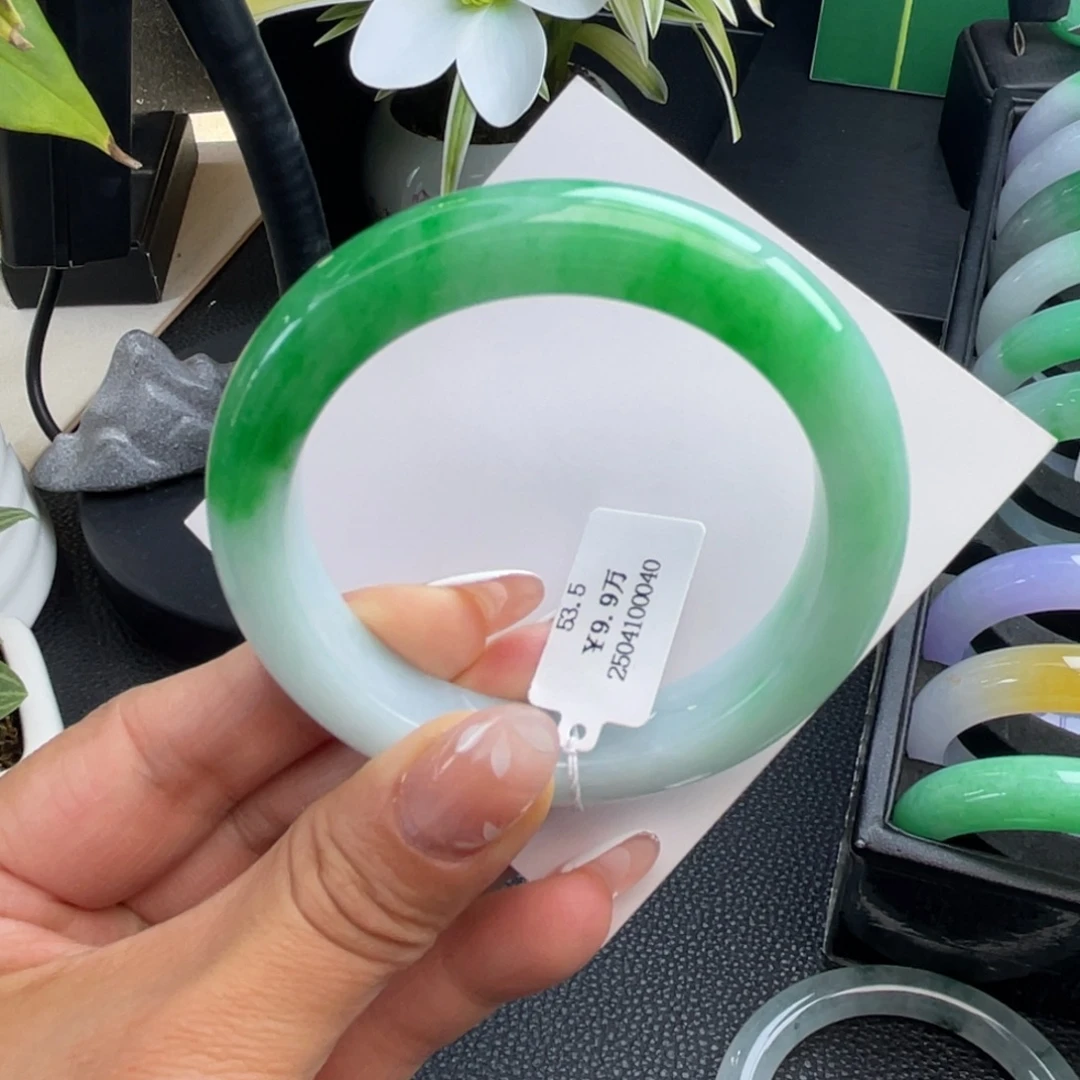 翡翠未镶嵌手镯细糯化辣阳绿53正圈