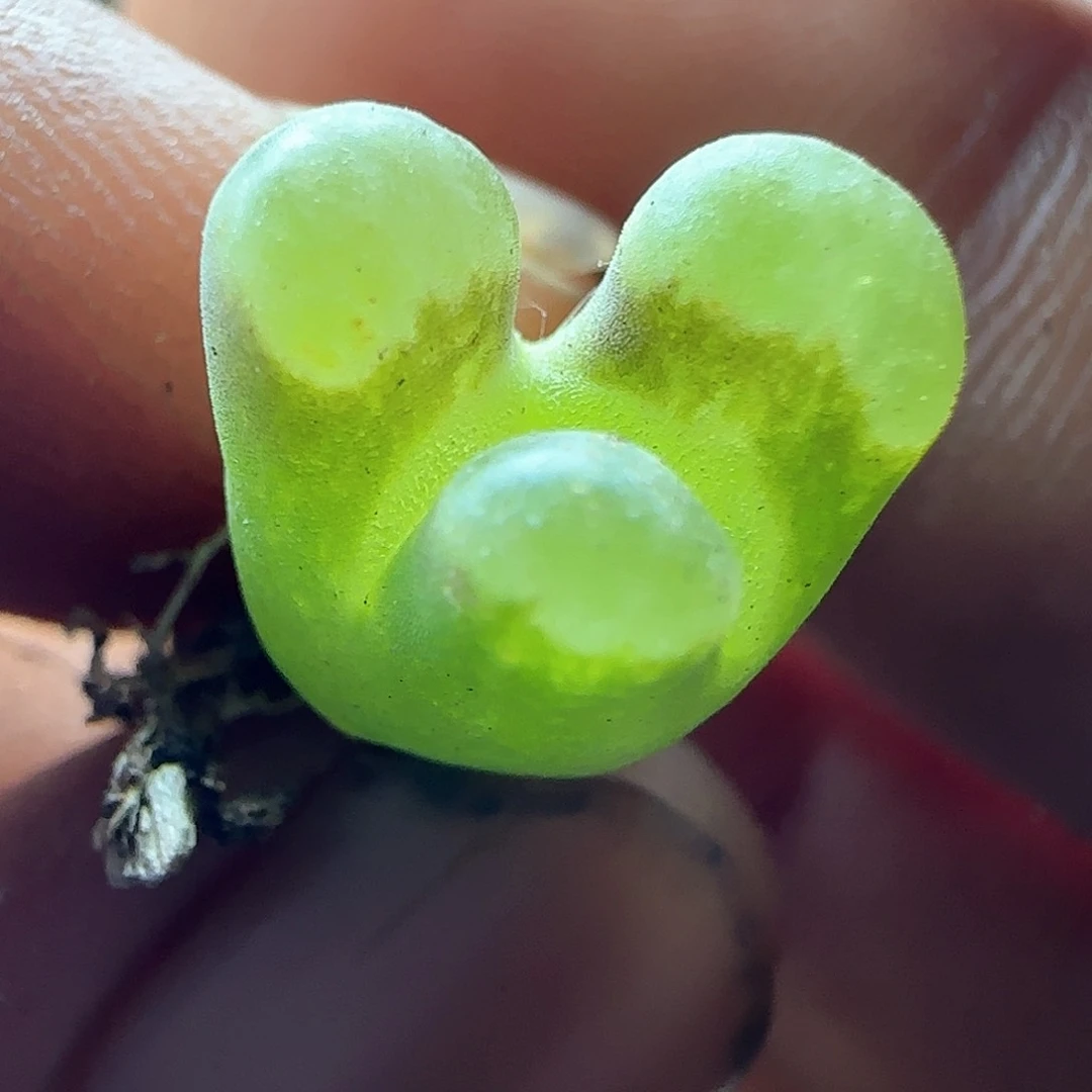 哈哈哈哈哈哈哈45841