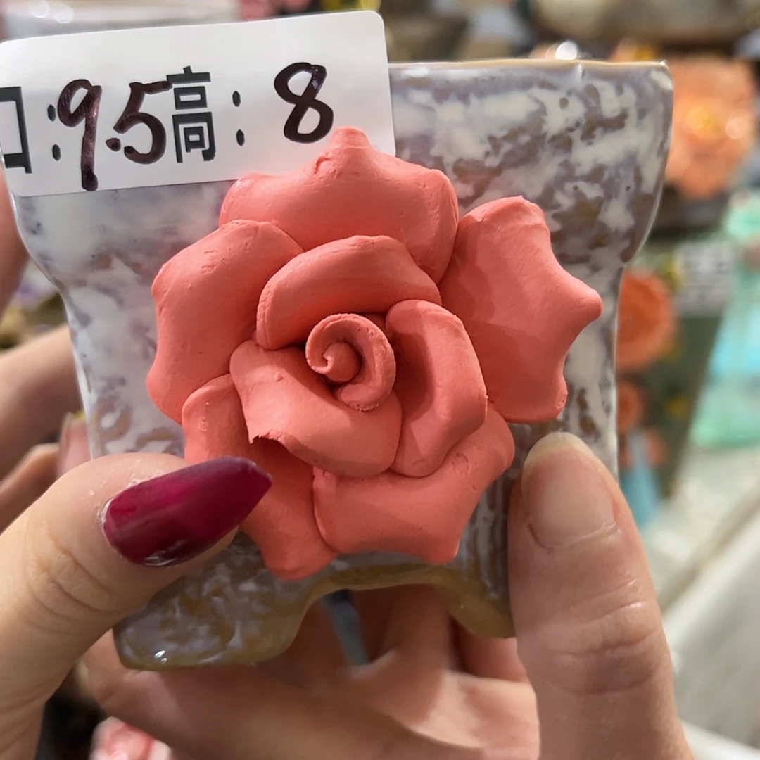 【闪购商品】红陶福利