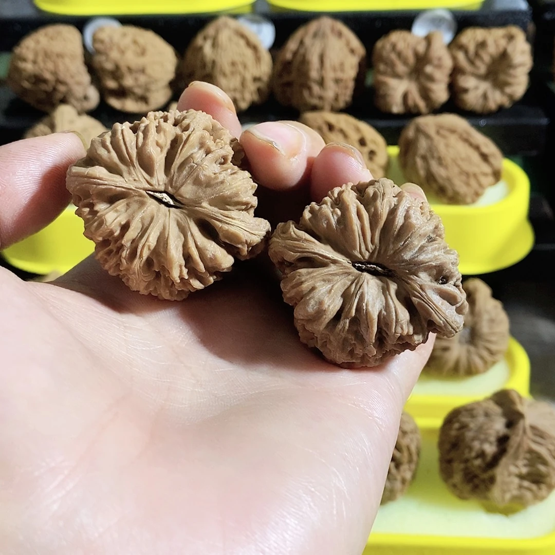 木质类今天是不是又要