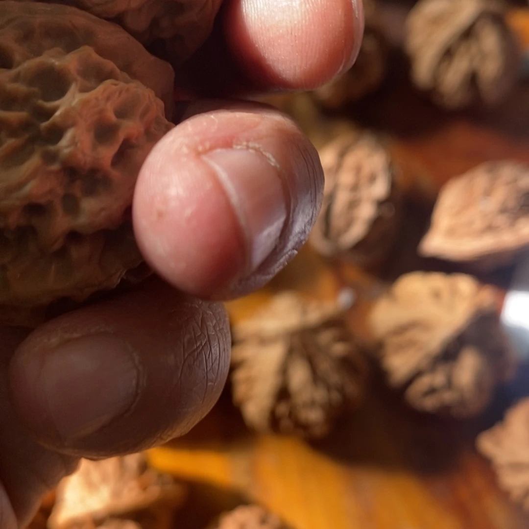 秦岭南侧和东北的山
