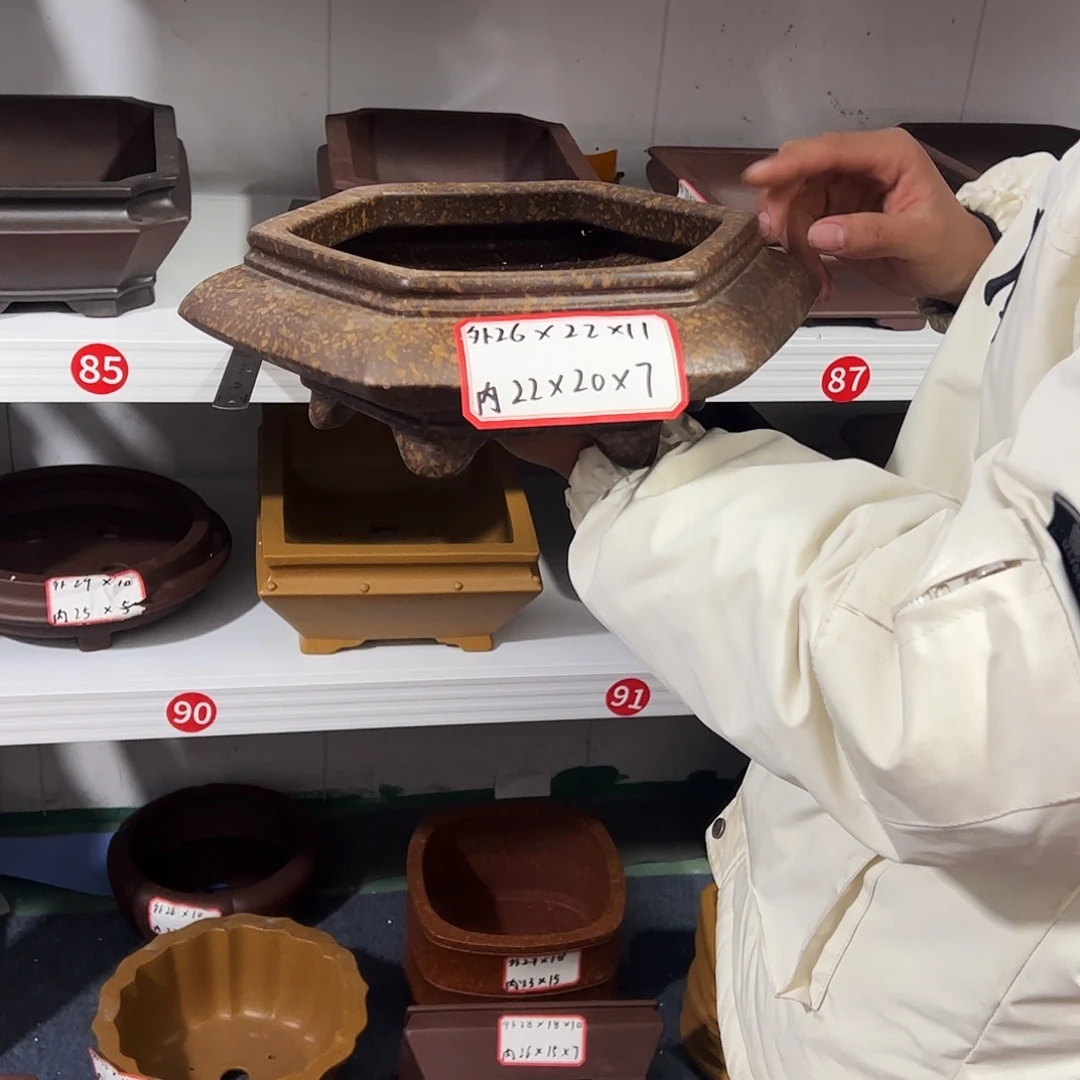 紫砂其他紫砂花盆