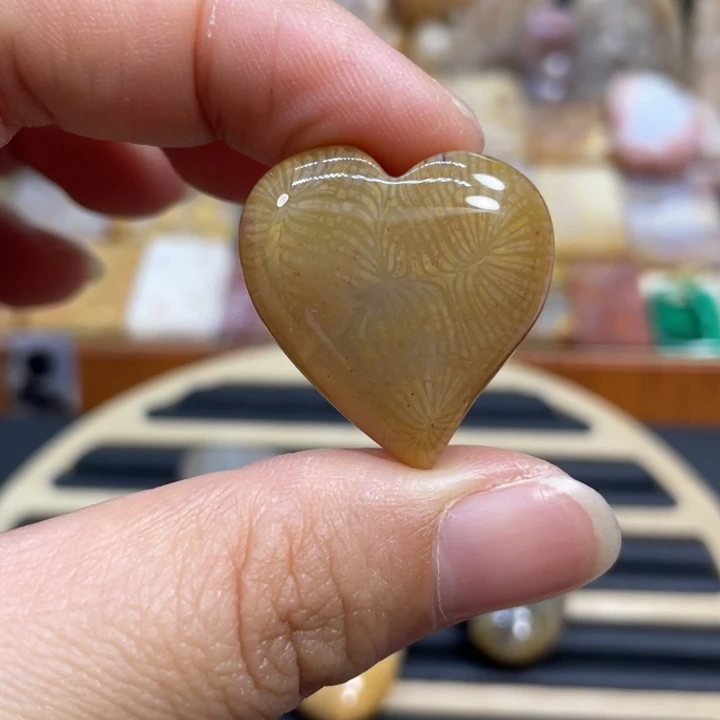 硅化玉未镶嵌颈饰k86