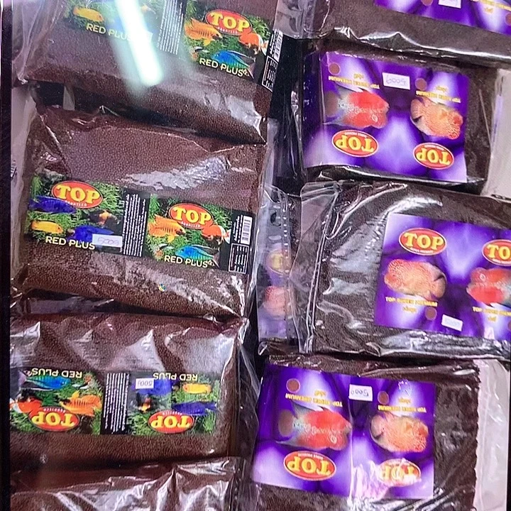罗汉鱼Top88888888增色