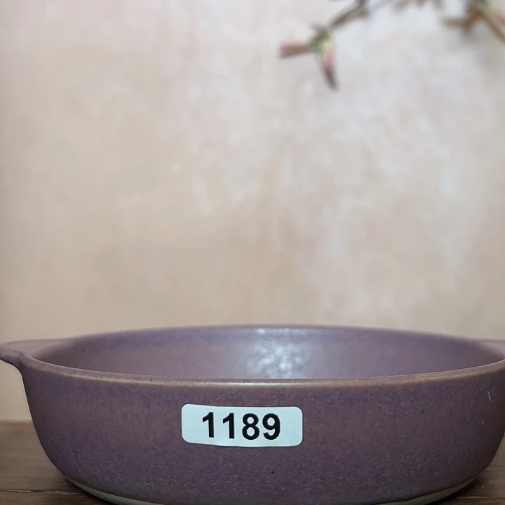 悠***然缸11890000000000000