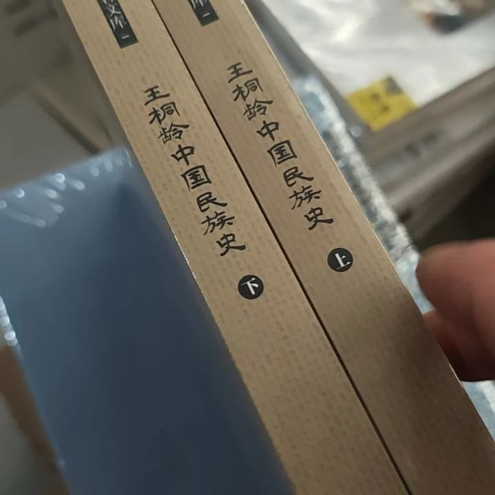 王桐龄中国民族史上下两本一套。
