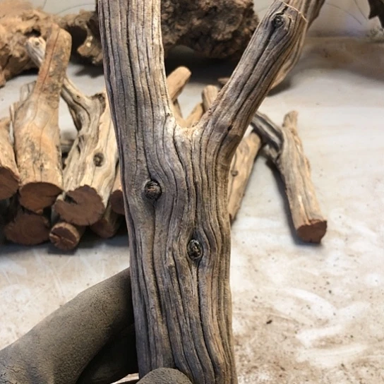 大果紫檀（缅甸花梨）向****赚