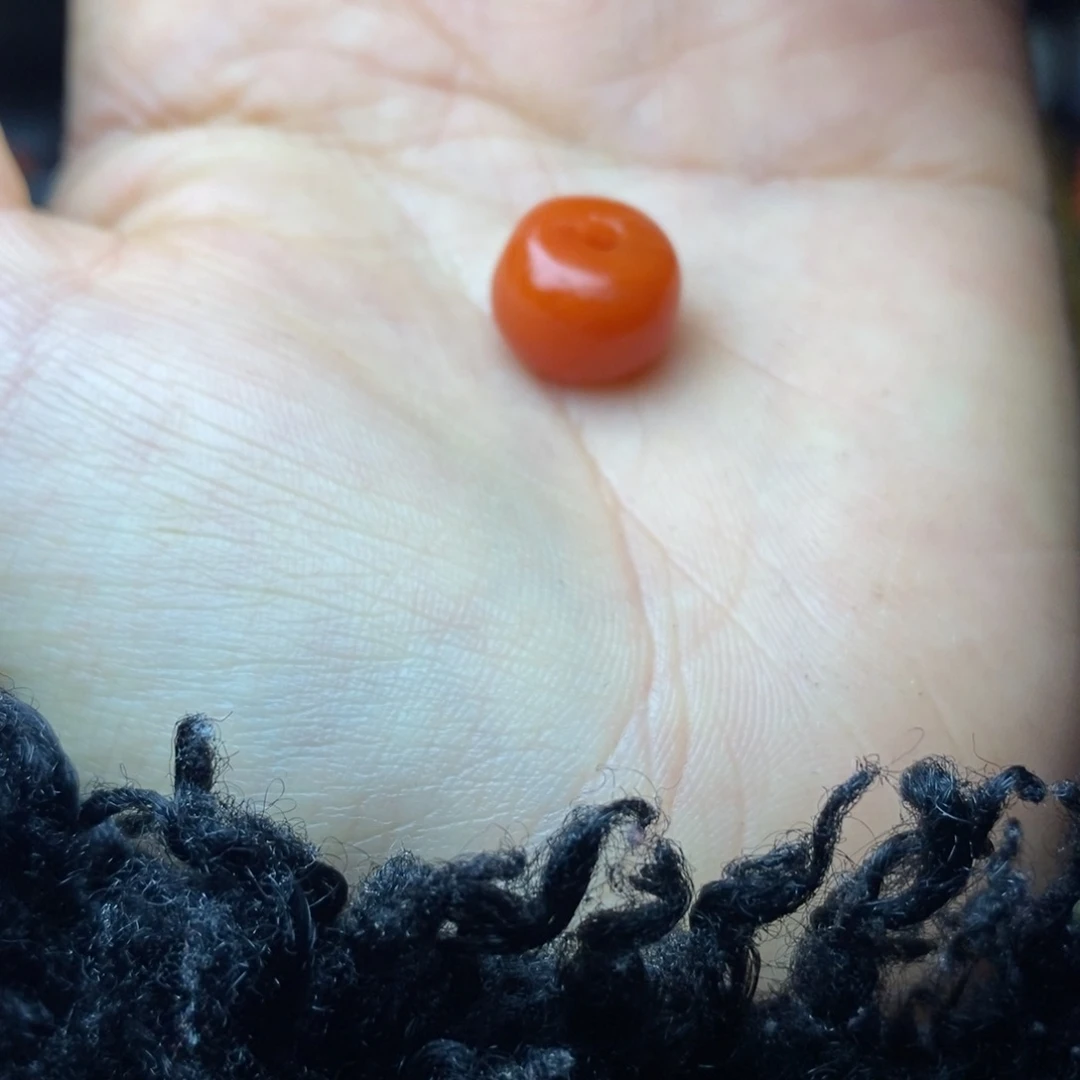 大叶紫檀（黑酸枝木类）