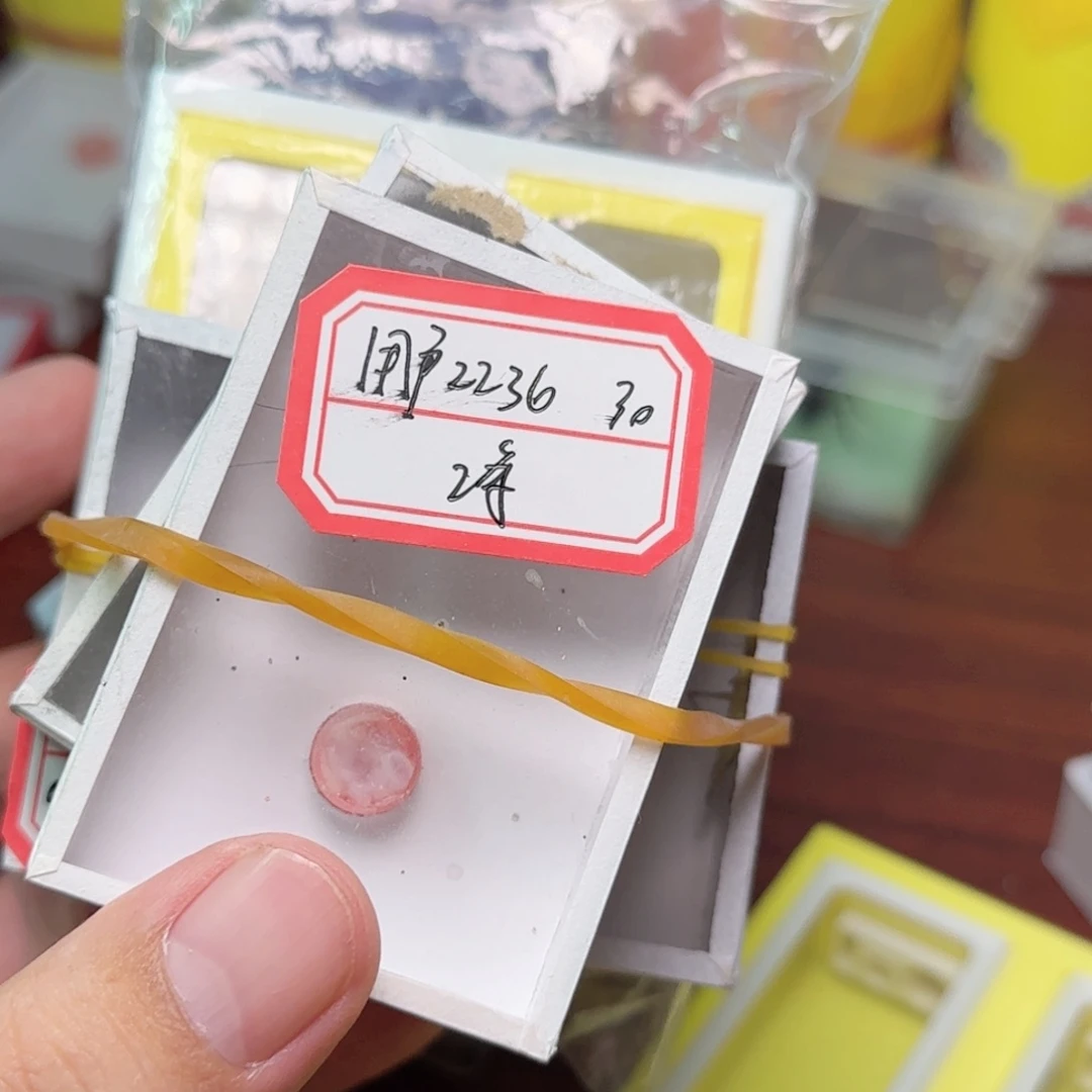 1盒2竹蛉2黄1蝈