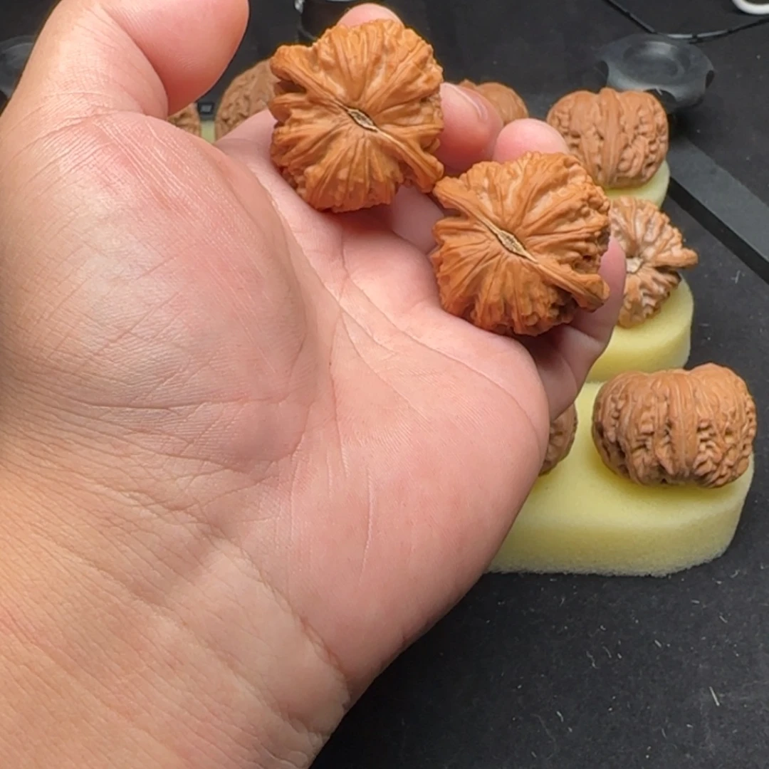 把件文玩核桃4白狮子