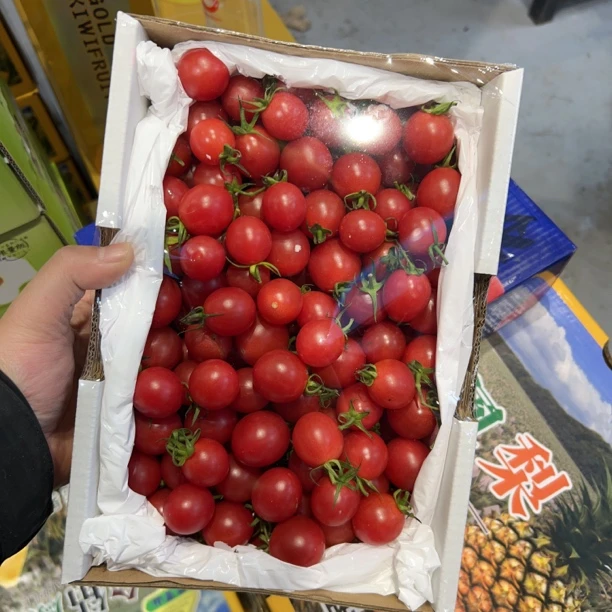 电白千玺小番茄番茄同城配