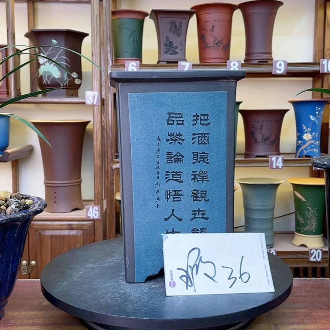 【闪购商品】紫砂花盆奋*兰花45555555555558455