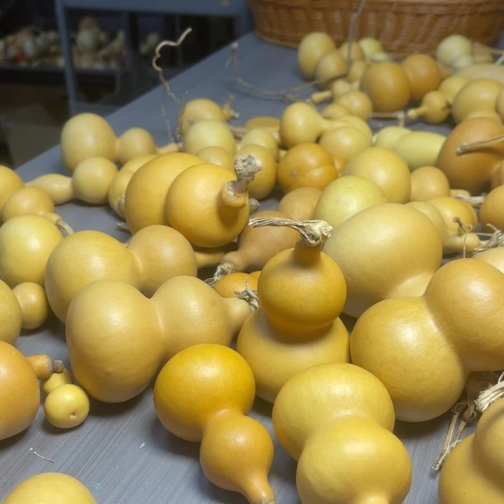 「***比健健康康快快乐乐