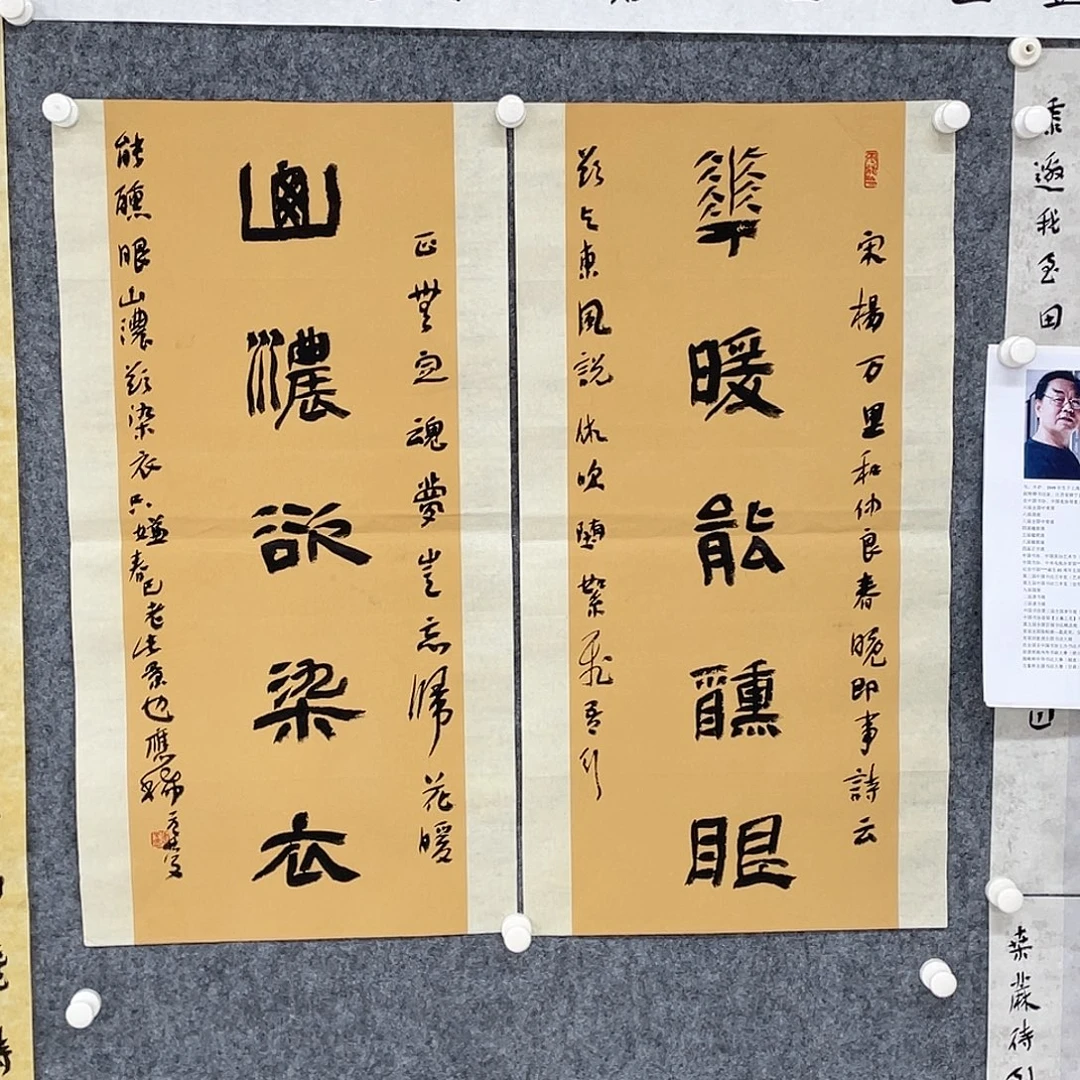 书法半醒斋书法作品