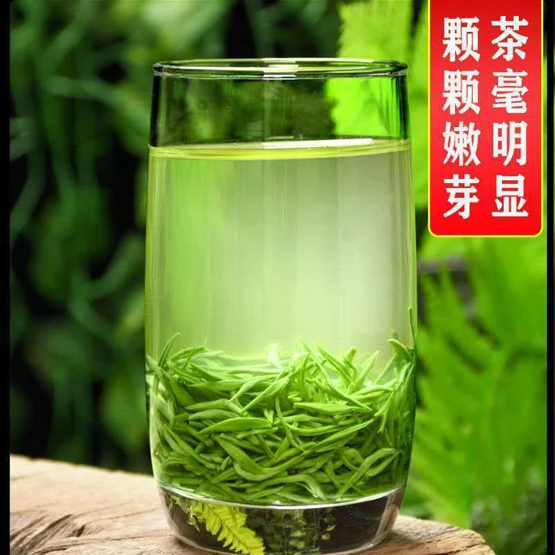 【2025年新茶】雨前浓香毛尖茶250g 第一口春茶