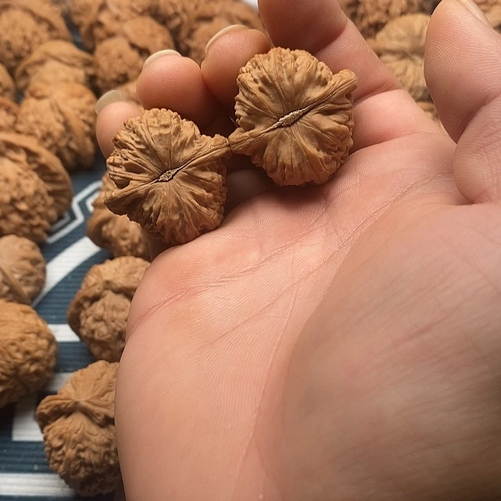 螃****吊坠文玩核桃白狮子
