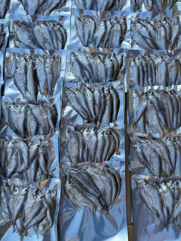 顺丰速发兴凯湖野生淡水小麻鲢鱼 味口小麻连 产地直供新鲜食材