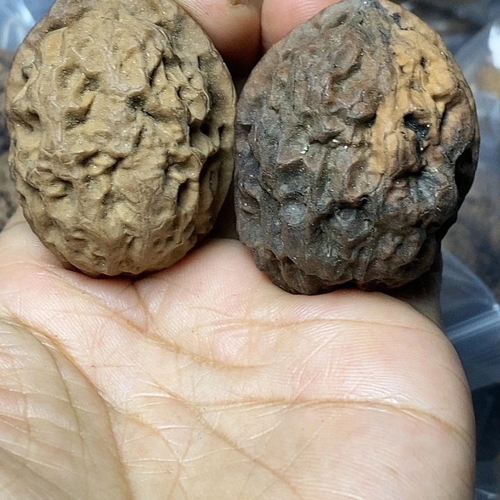 把件文玩核桃云南铁核桃41