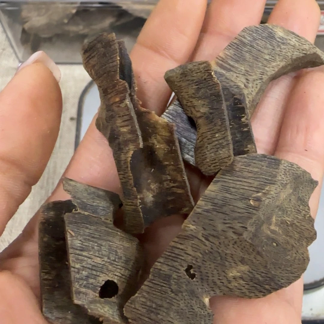 沉香木摆件用****4海南棋楠沉香沉水凹身块料21