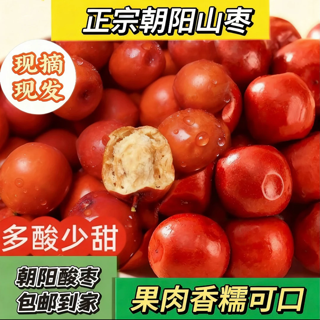 朝阳大山枣微酸大酸枣软糯酸口树熟干枣孕妇小孩都爱吃