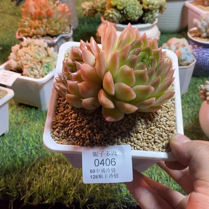 0406啊啊啊啊啊啊啊啊啊
