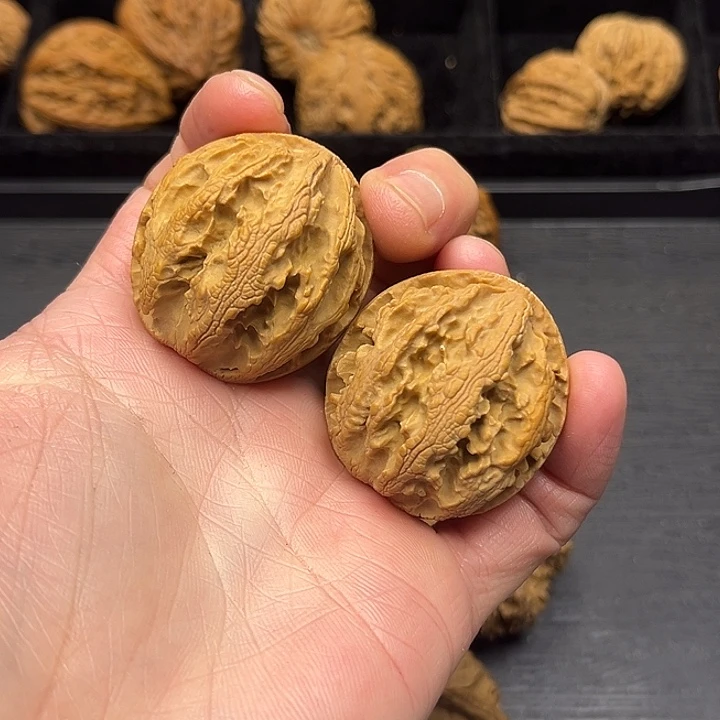 木质类秦岭突突突突突突