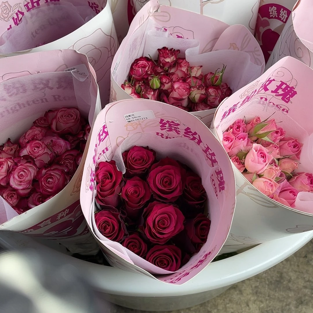 全部花苞缤纷（鸿影）一扎