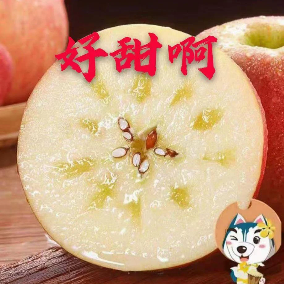 【伍琪专属】新疆阿克苏红富士冰糖心苹果产地直发